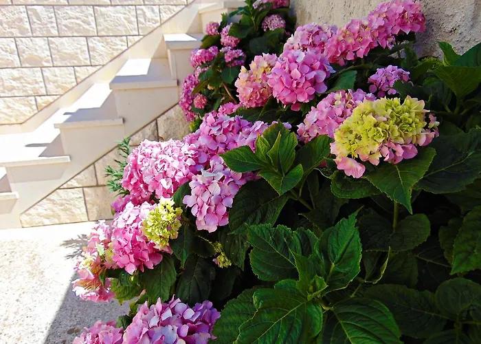 Apartament Baloević