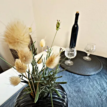 Apartment Baloevic *